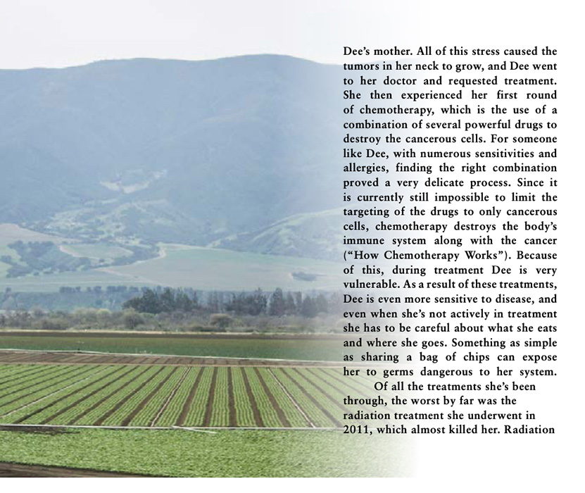 Book by Kathryn McClellan